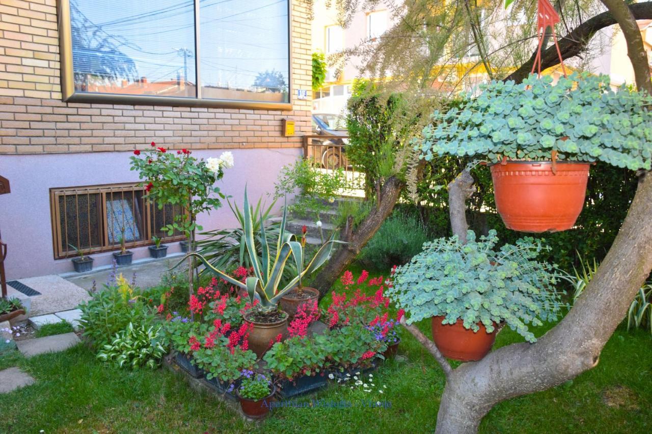 Apartman Wisteria Вране Экстерьер фото