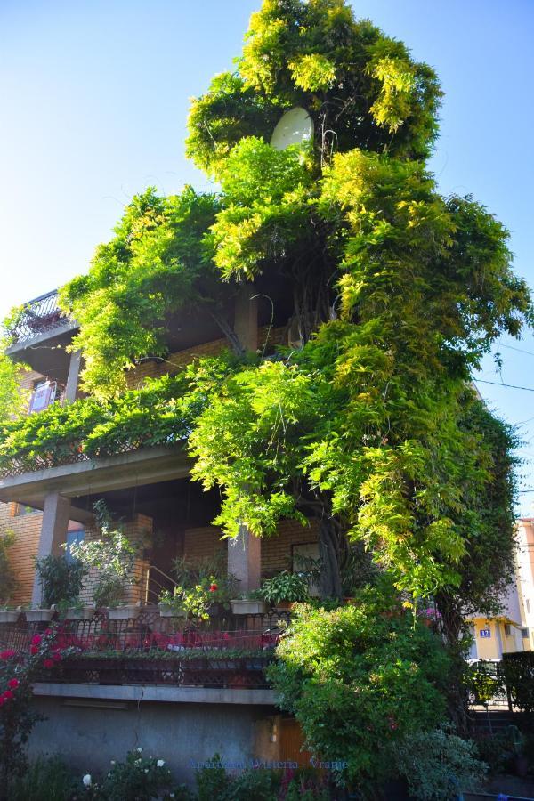 Apartman Wisteria Вране Экстерьер фото